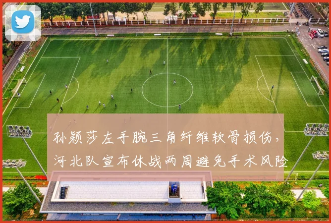 孙颖莎左手腕三角纤维软骨损伤，河北队宣布休战两周避免手术风险